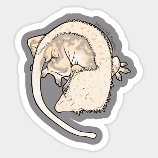 Grayson Line, Large Crested Gecko - Chai Sticker